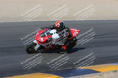 media/Feb-04-2023-SoCal Trackdays (Sat) [[8a776bf2c3]]/Turn 6 Inside (1025am)/